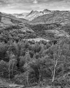 The Langdales from Holme Fell