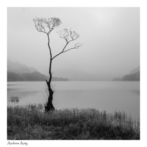 6 Misty Buttermere_Andrew Auty 1701